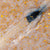 Flakes Base No. B010